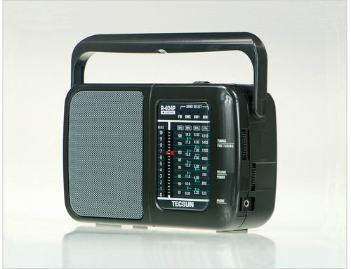 Portable AC/DC Dual-Power AM/FM Radio